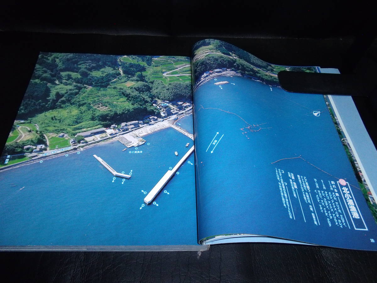 空から見た新潟の海釣り 佐渡 粟島　新潟 　新潟日報事業社_画像5