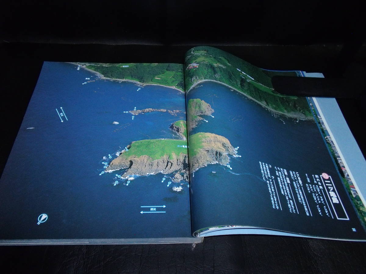空から見た新潟の海釣り 佐渡 粟島　新潟 　新潟日報事業社_画像6