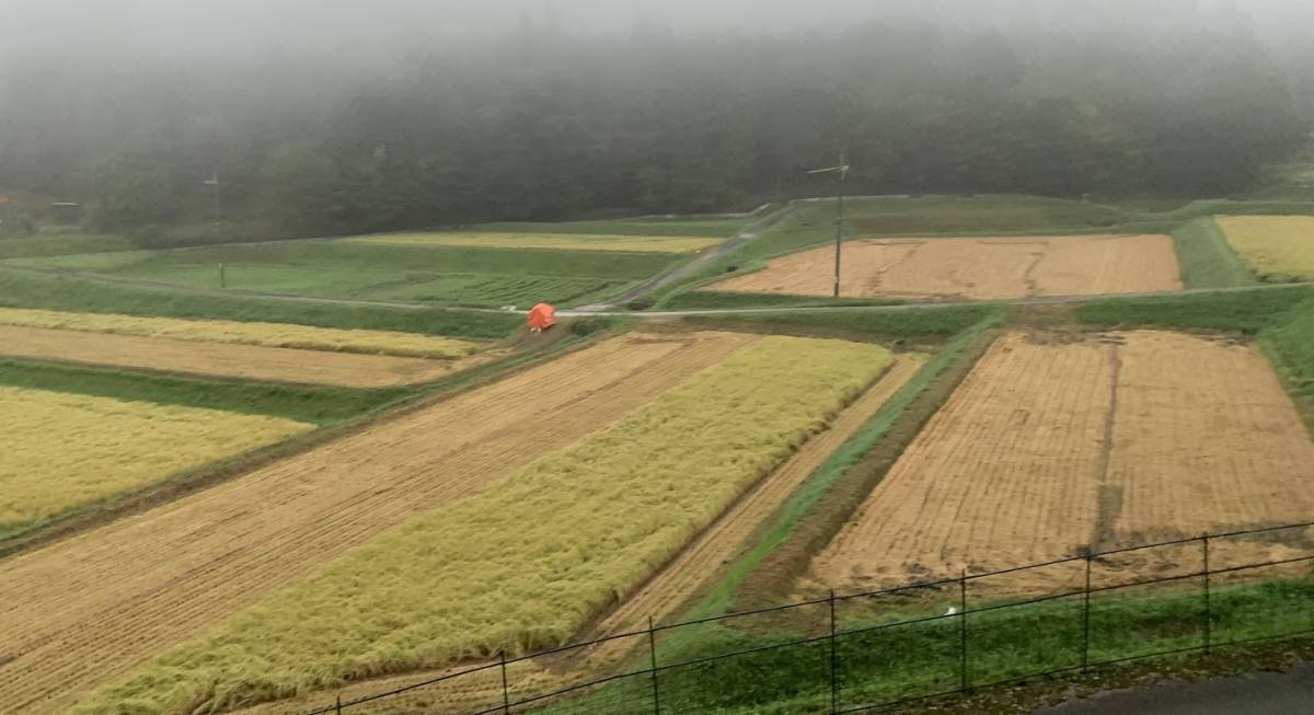 令和３年　広島県産　奥山田コシヒカリ　玄米３０ｋｇ　◆農家直送◆_画像8