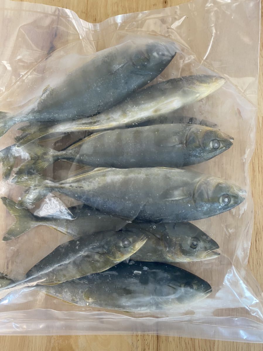 冷凍エサ ワカシ イナダ ブリ ワラサ 出世魚 バラ冷凍 釣り餌 釣りエサ 船釣り 根魚 青物 熱帯魚 大型魚 冷凍餌 売買されたオークション情報 Yahooの商品情報をアーカイブ公開 オークファン Aucfan Com 冷凍エサ ワカシ イナダ ブリ ワラサ 出世魚 バラ冷凍 釣り餌 釣りエサ 船釣り 根魚 青物 熱帯魚 大型魚 冷凍餌 売買されたオークション情報 Yahooの商品情報をアーカイブ公開 オークファン Aucfan Com