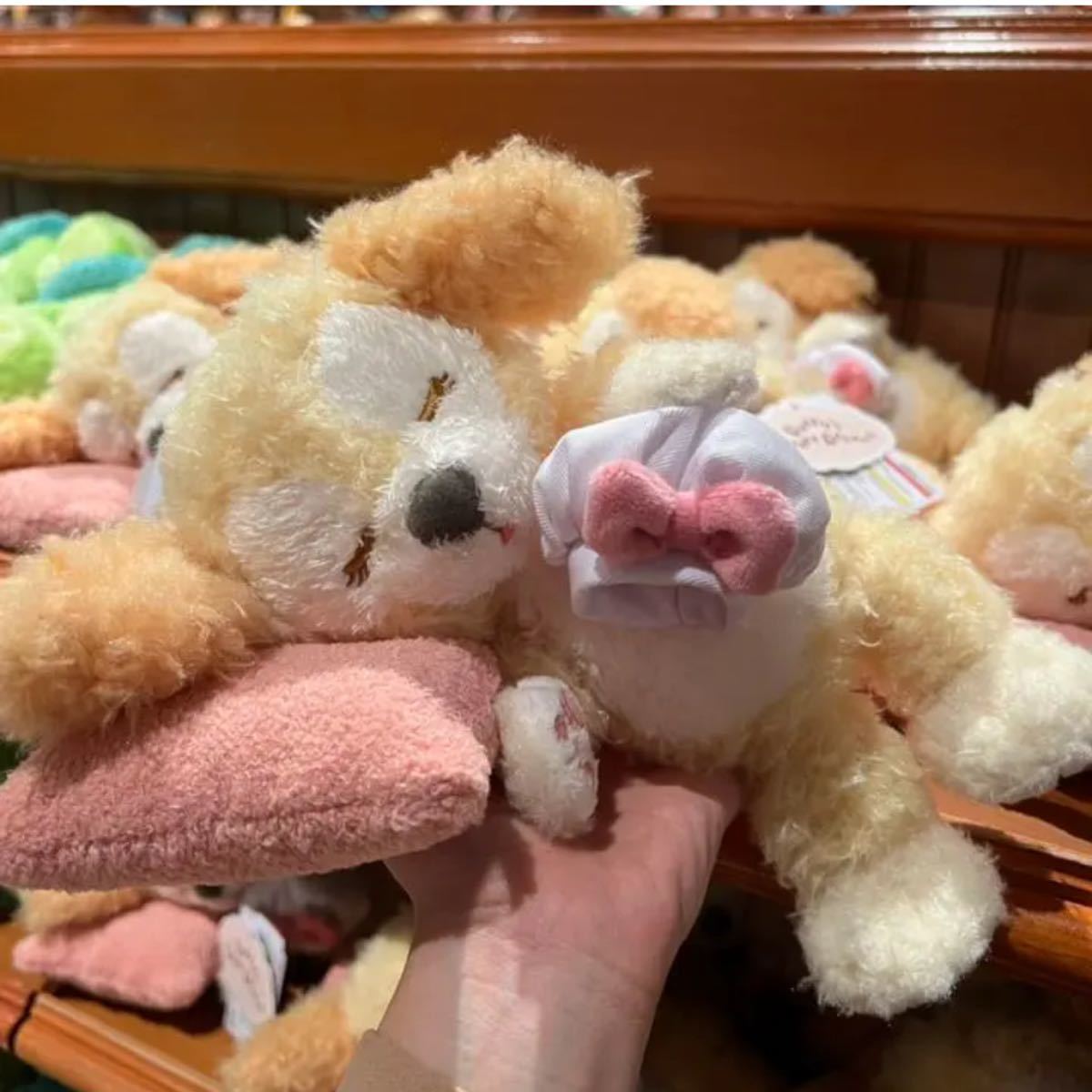 クッキー・アン、オル・メル、リーナ・ベル登場！東京ディズニー