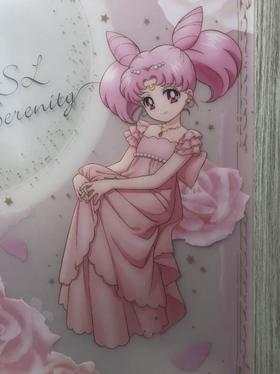 美少女戦士セーラームーン プリンセスうさぎSLセレニティ(ちびうさ)クリアファイル 額装品 竹内直子 Sailor Moon