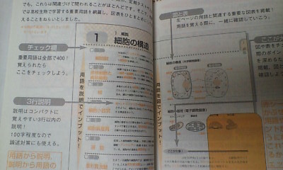 ベネッセ 進研ゼミ＊高校講座（大学受験講座 エンカレッジ）＊理科 生物／図と表で覚える 生物重要用語 ４００＊暗記_画像3