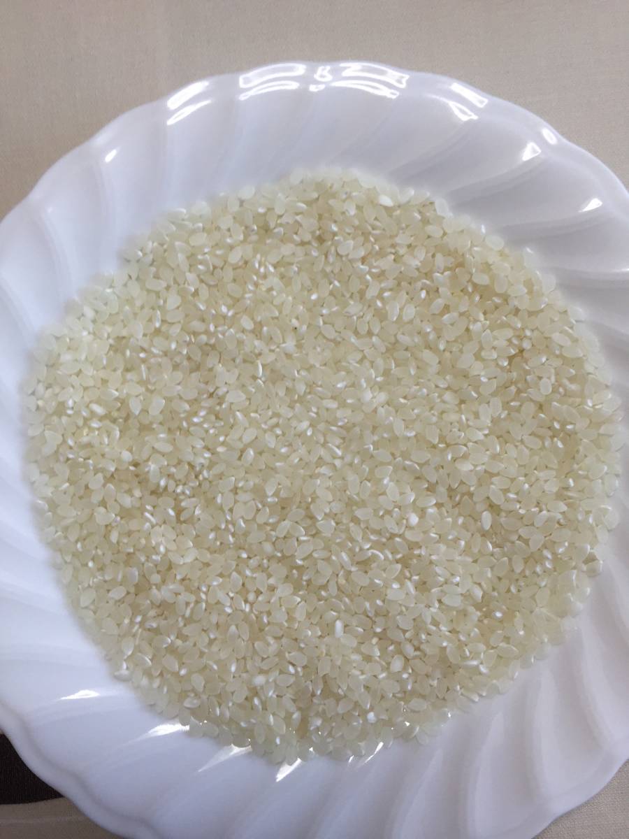 高食味！ 我が家低農薬栽培 令和3年新米 高知南国コシヒカリ 玄米30kg_画像2
