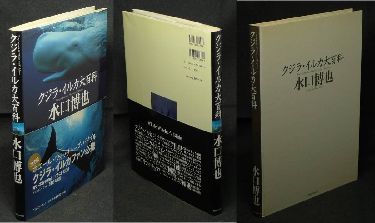 【超希少】【初版、美品】古本　クジラ・イルカ大百科　著者：水口博也、イラスト：河合晴義　（株）ＴＢＳブリタニカ_画像2