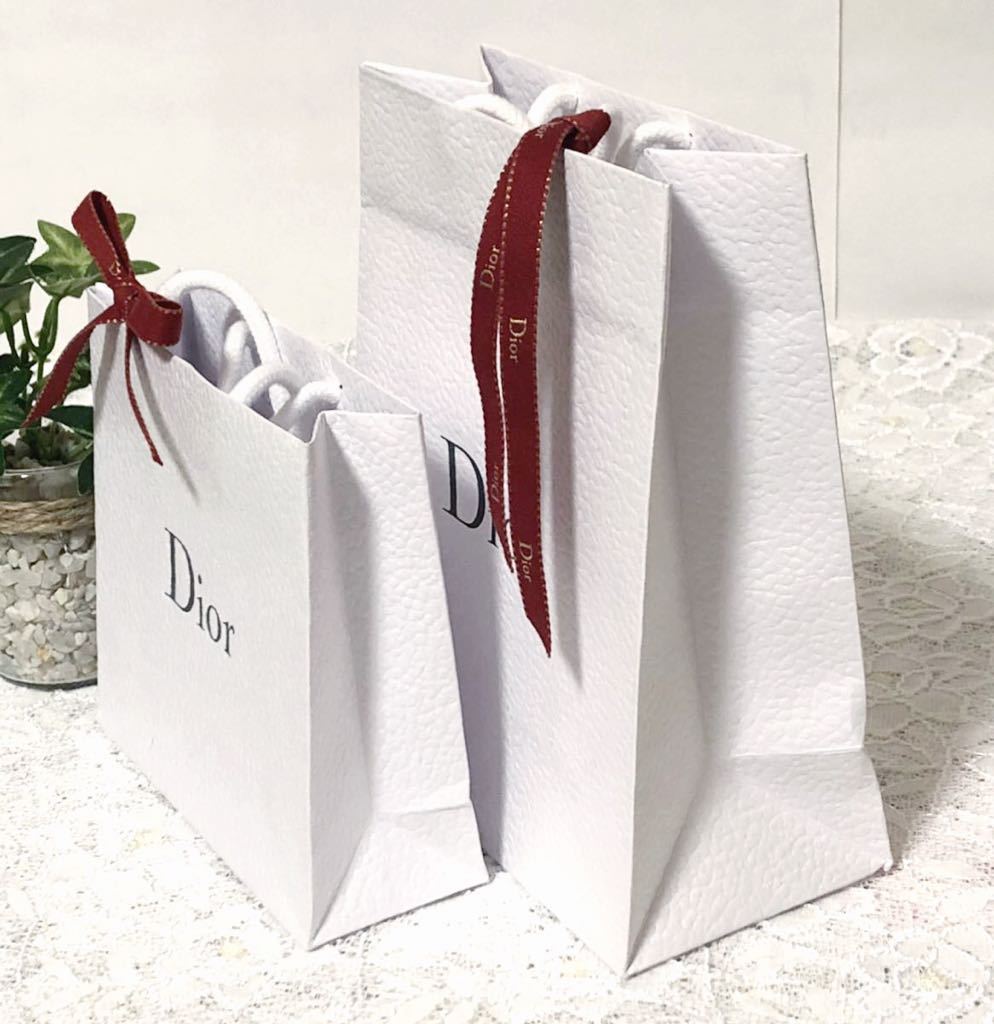 クリスチャン・ディオール「Christian Dior」ミニショッパー 2枚組 (490) 紙袋 ショップ袋 ブランド紙袋 ホワイト リボン付き  折らずに配送