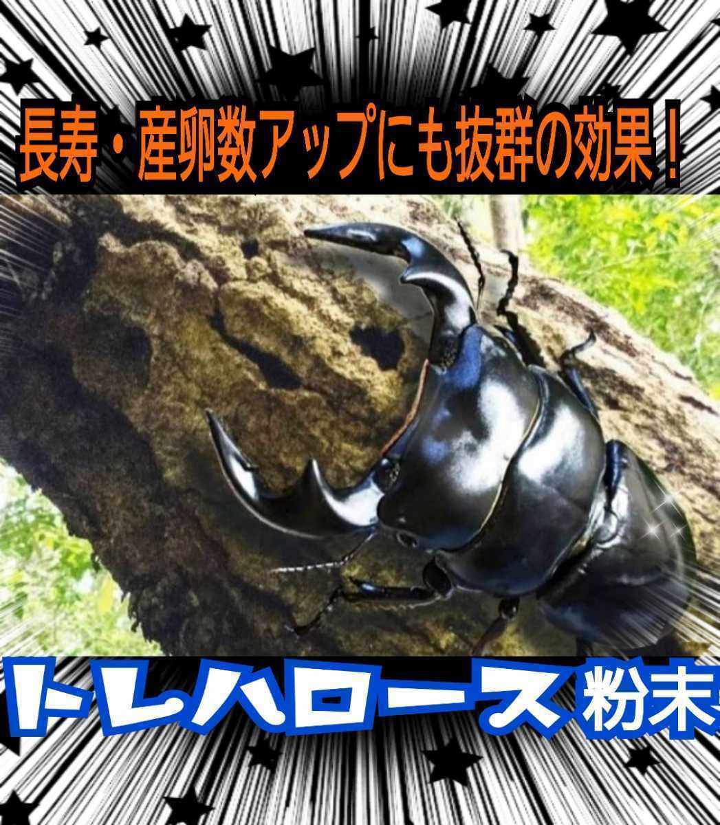 クワガタ・カブトムシのエネルギー源はコレ！トレハロース粉末【2袋】マットや菌糸、ゼリーに混ぜるだけ！サイズアップ、産卵促進、長寿に_画像4