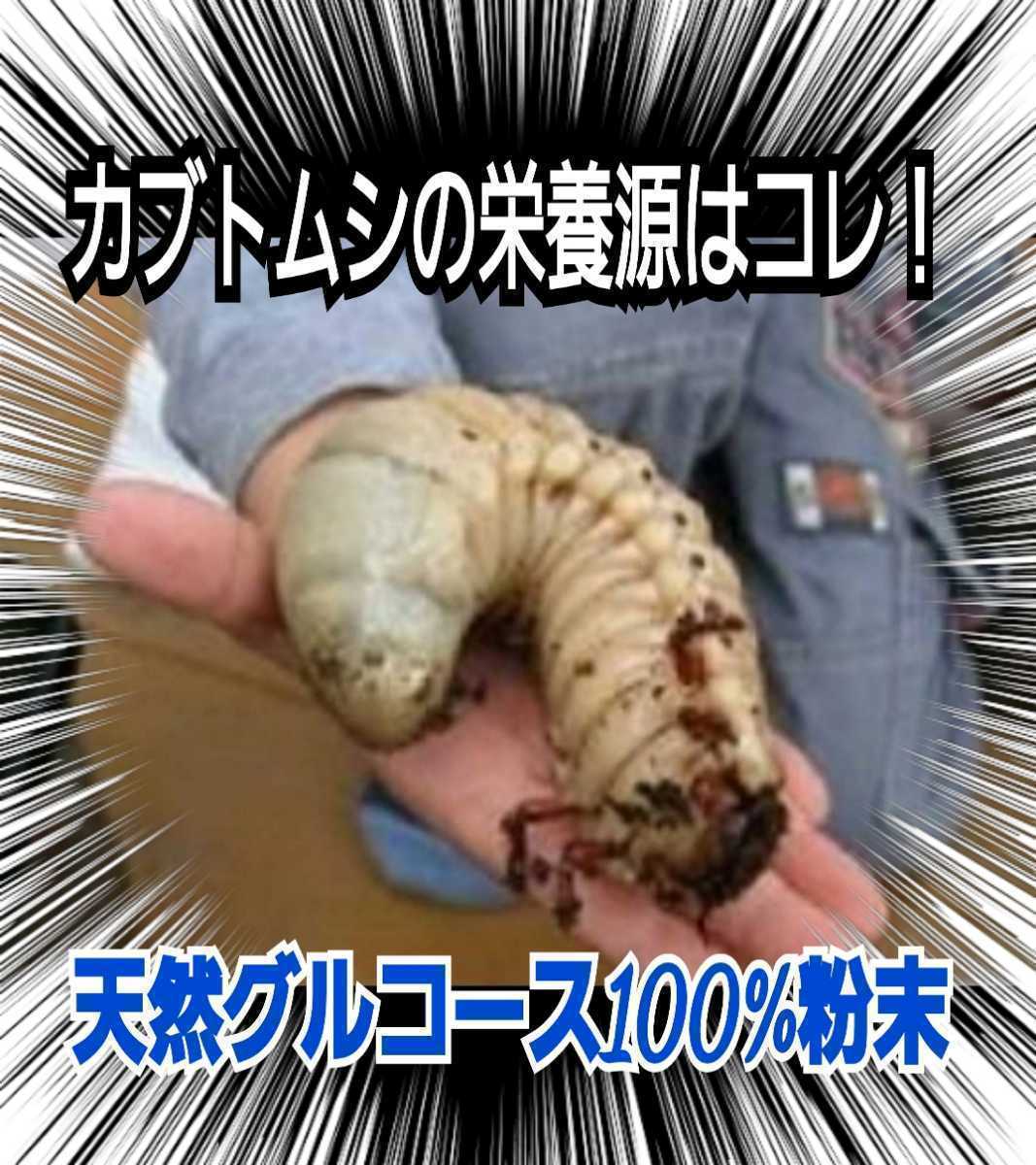 クワガタ・カブトムシの栄養源はコレです！グルコース粉末☆マットや菌糸・ゼリーに混ぜるだけ☆サイズアップ、産卵促進、長寿効果に抜群！_画像9