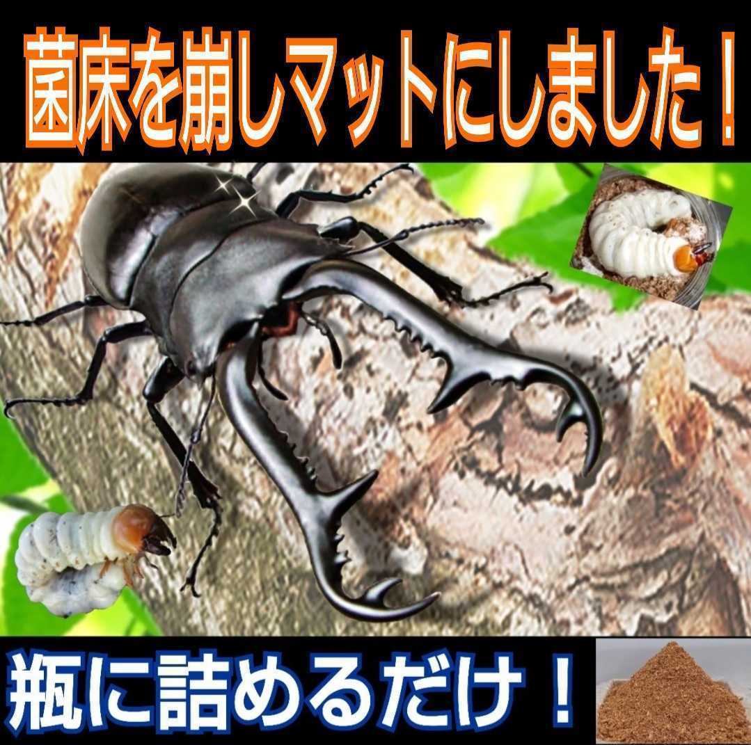 [ improvement version ] stag beetle. larva. bait . eminent!. floor crushing mat! bin . pudding cup .... only! well meal .. * oo stag beetle,nijiiro, common ta.!