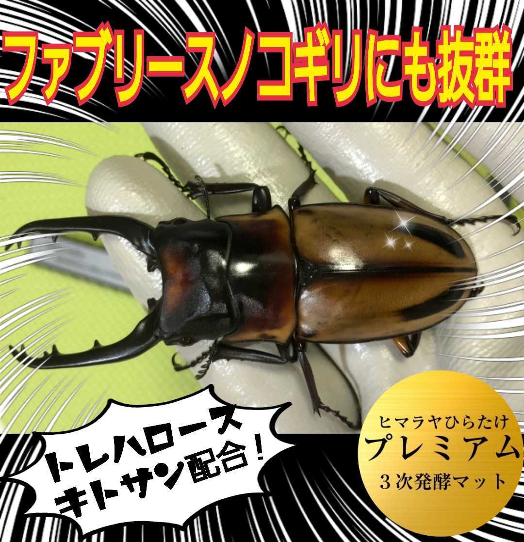 進化した！プレミアム3次発酵クワガタマット！栄養添加剤・共生バクテリア３倍配合！ミヤマ・ノコギリ・虹色・ヒラタ・アンテが大きくなる_画像7