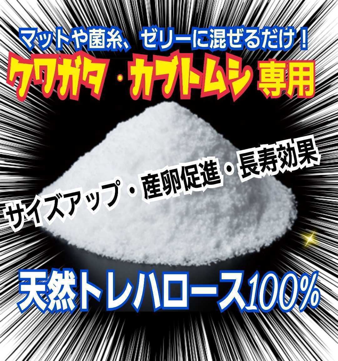 クワガタ・カブトムシのエネルギー源はコレです！トレハロース粉末☆マットや菌糸・ゼリーに混ぜるだけ！サイズアップ、産卵促進、長寿効果_画像2