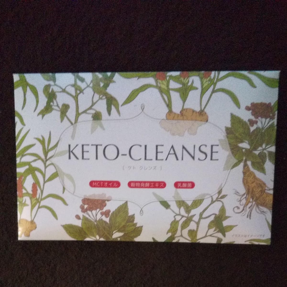 ケトクレンズ　KETO-CLEANSE　ダイエット　オート麦食物繊維含有加工食品　26包入り