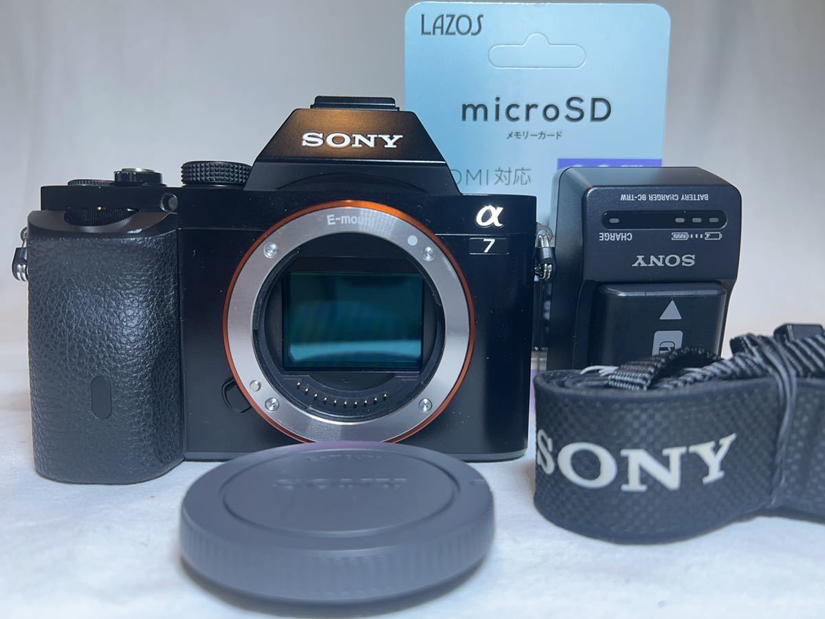 SONY ソニー α7 ボディ ILCE-7 odmalihnogu.org