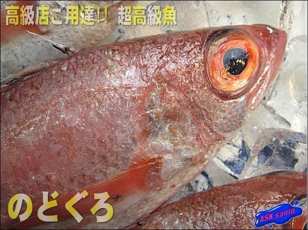 幻の超高級魚「のどぐろL-1kg」お刺身用・脂のってます！！　山陰境港産_画像2