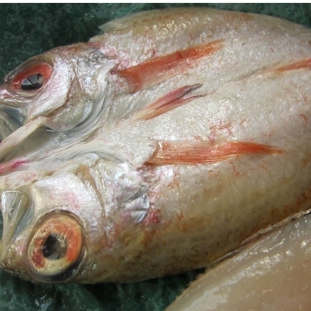 はんなま製品、超高級魚「のどぐろ開き1kg」めちゃめちゃ脂のってます！！_画像2