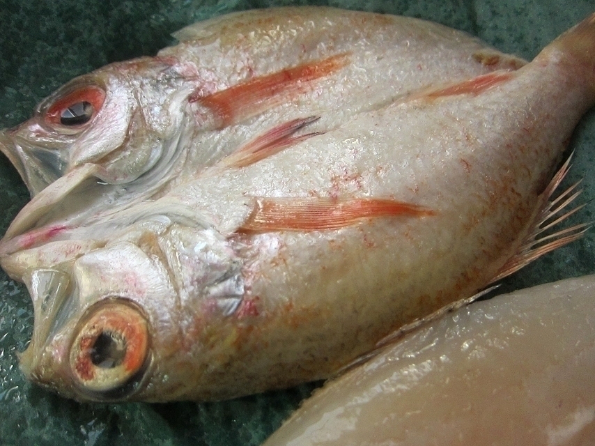 はんなま製品、超高級魚「のどぐろ開き1kg」めちゃめちゃ脂のってます！！_画像3