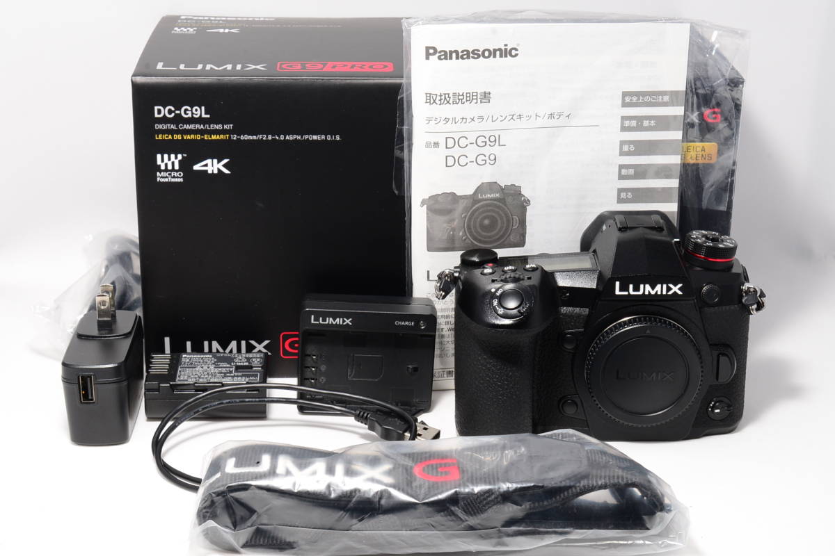 ショット数2633☆ 取説・元箱付き Panasonic パナソニック ミラーレス