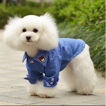 超可爱の ※ 本物の 犬 猫 ペット服 Sサイズ トップス ボタン式 散歩 ドット柄 熊 ワイシャツ くま