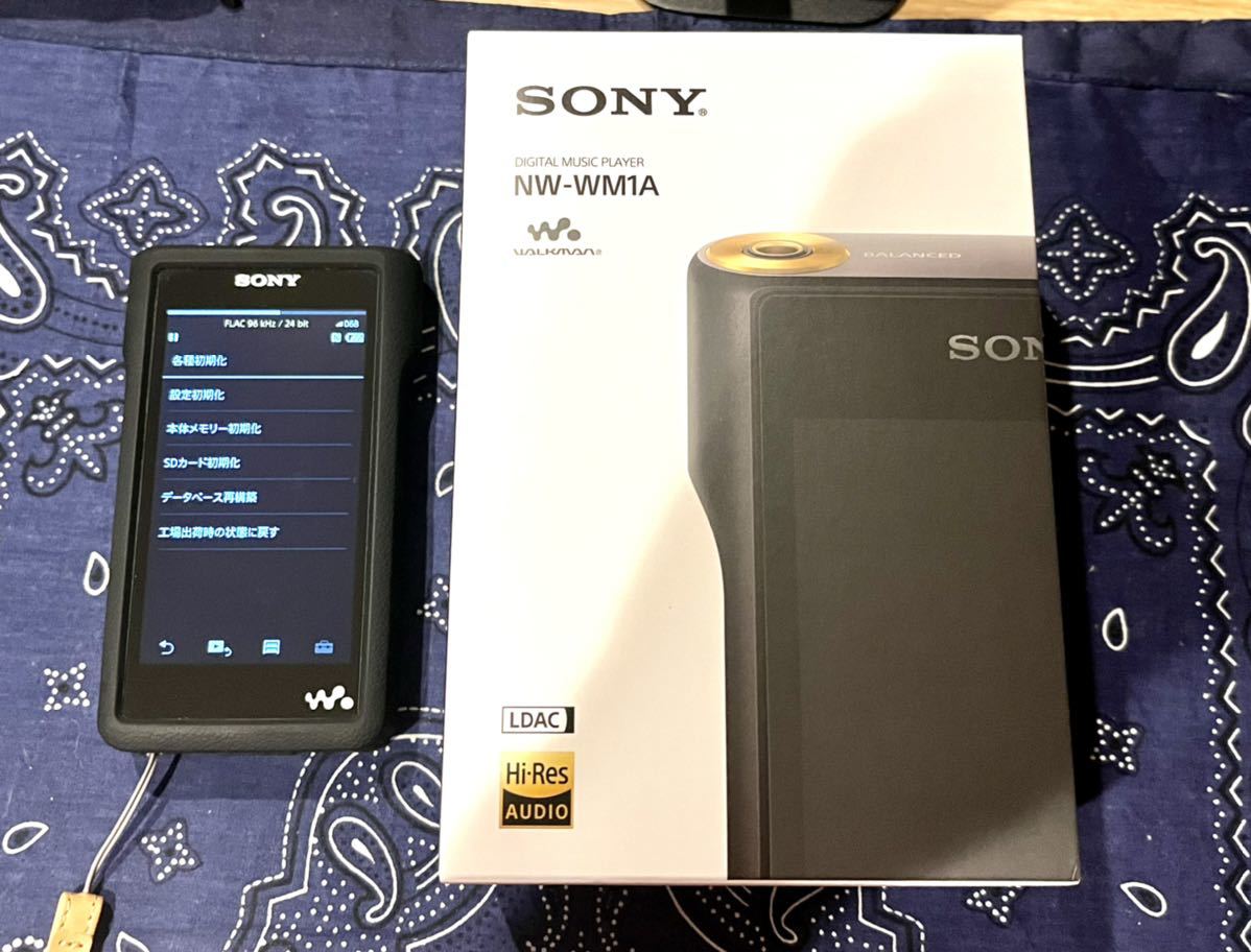 【極美品】初代 SONY NW-WM1A （SDカード 200GB ケース付き）