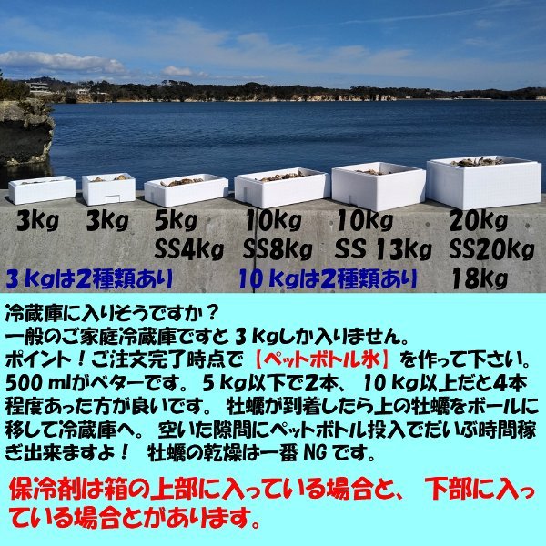 【本当の旬5．6月到来】生食用 殻付き 牡蠣 ２ｋｇ（14~35粒）【一部条件付き要説明確認】牡蠣 殻付き 牡蛎 カキ 加熱出荷時は増量で３ｋｇ_画像7