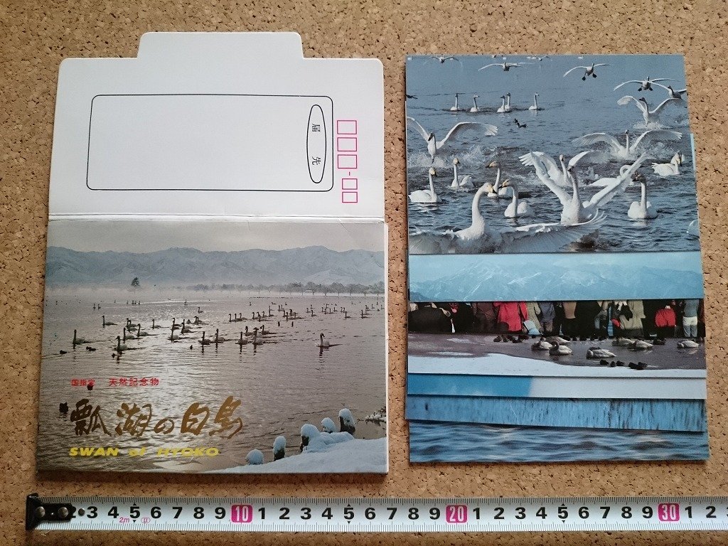 b■　瓢湖の白鳥　絵葉書　8枚セット　新潟県　/c4_画像1