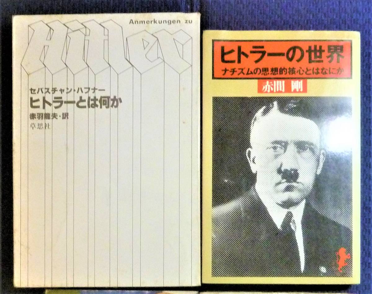 【ヒトラー研究書２冊】ヒトラーとはなにか　ヒトラーの世界_画像3