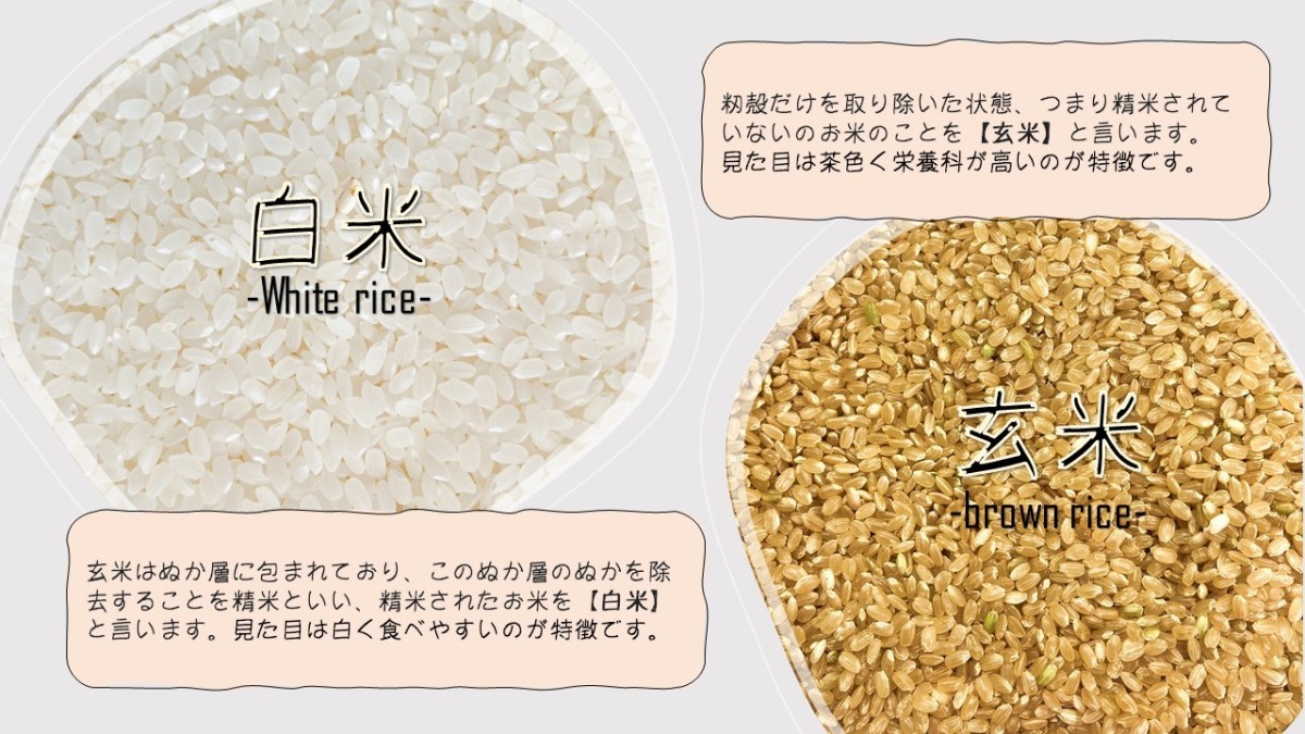 令和3年産 福島県産コシヒカリ　玄米30kg 「ふくしまプライド。体感キャンペーン（お米）」 ポイント消化 送料無料 　_画像7