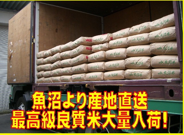 令和３年産 魚沼産コシヒカリ10kg うまい米 米専門 みのりや（玄米）ポイント消化 送料無料_画像2