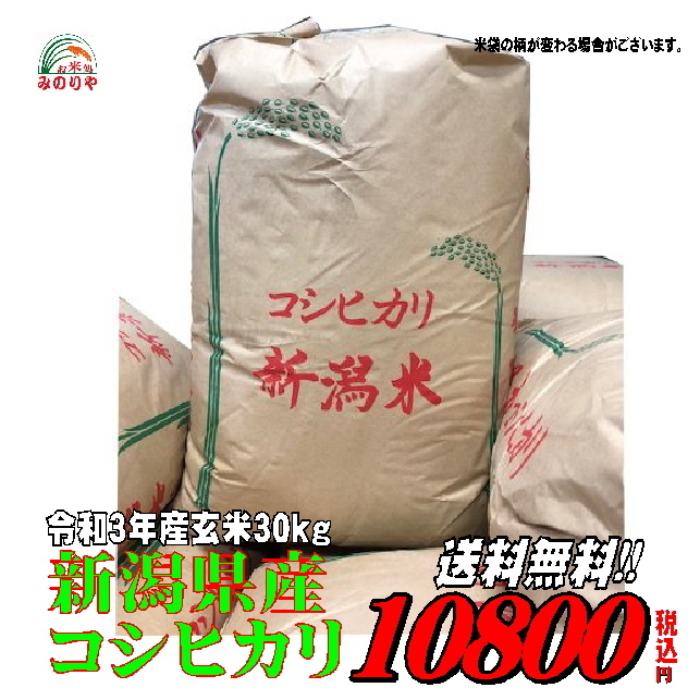令和３年産 新潟県産 コシヒカリ 玄米30kg うまい米 米専門 みのりや ポイント消化 送料無料_画像1