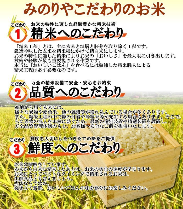 令和３年産 新潟県産 コシヒカリ 玄米30kg うまい米 米専門 みのりや ポイント消化 送料無料_画像2