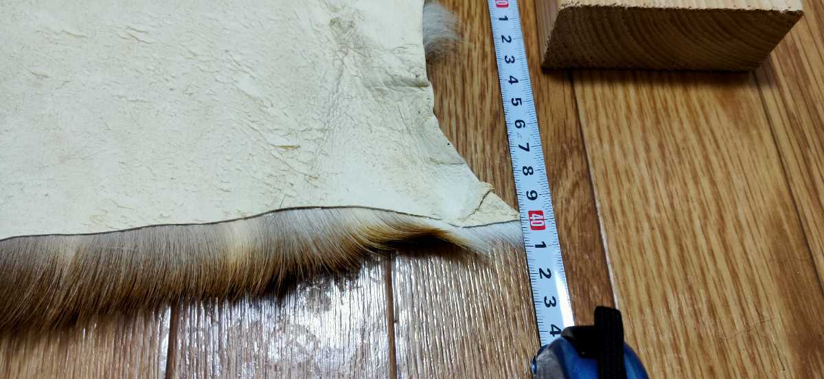 ○登山○シカの尻皮(夏毛①) ニホンシカ ニホンジカ 尻当て 尻 ○登山○シカの尻皮(夏毛①) ニホンシカ ニホンジカ 尻当て 尻