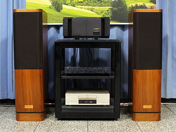 PIONEER S-1000 TWIN ♪パイオニア 仮想同軸 最上級機 PIONEER S-1000 TWIN ♪パイオニア 仮想同軸 最上級機