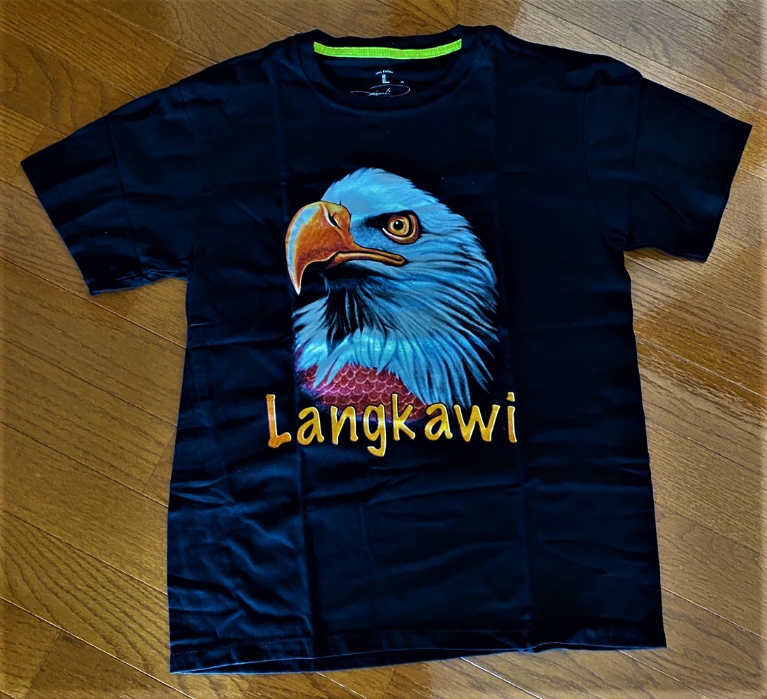 ワシ　鷲　イーグル　EAGLE Tシャツ　Lサイズ 　動物Tシャツ　鳥　バイカー_画像2