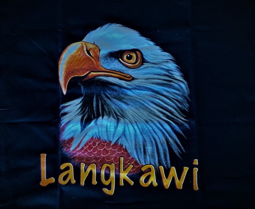 ワシ　鷲　イーグル　EAGLE Tシャツ　Lサイズ 　動物Tシャツ　鳥　バイカー_画像1