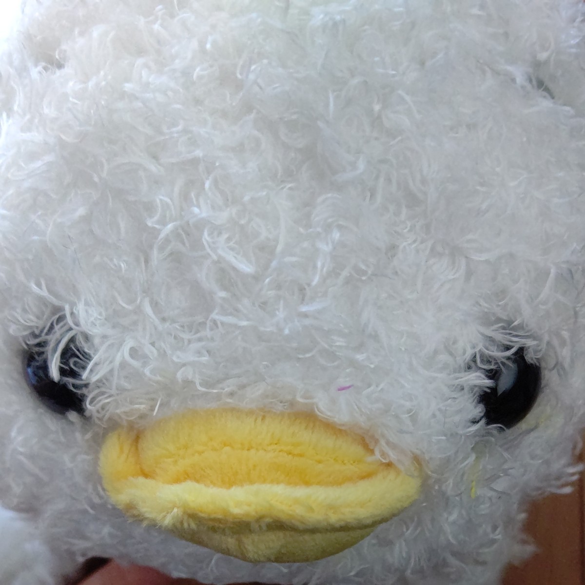 ドナルドの中にヒューイ デューイ ルーイが入ってるぬいぐるみ ドナルドの中にヒューイ デューイ ルーイが入ってるぬいぐるみ