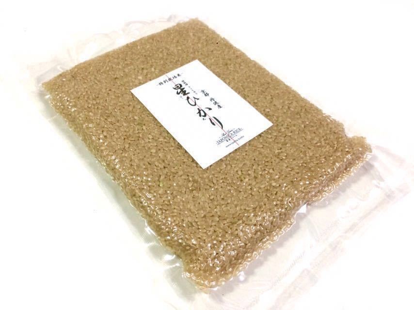 令和3年産【丹波産】コシヒカリ 玄米 -特別栽培米- “星ひかり” 450g_画像1