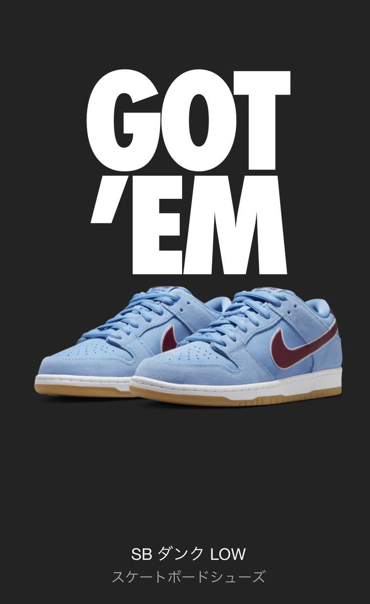 Nike Dunk Low Valor Blue and Team Maroon NIKE ナイキ ダンク