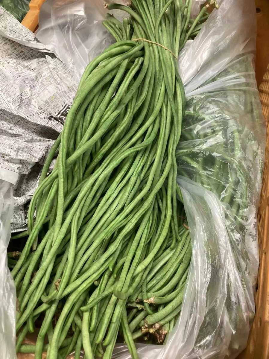 茨城県産 新鮮 ささげ 豆 2kg 野菜 売買されたオークション情報 Yahooの商品情報をアーカイブ公開 オークファン Aucfan Com 茨城県産 新鮮 ささげ 豆 2kg 野菜 売買されたオークション情報 Yahooの商品情報をアーカイブ公開 オークファン Aucfan Com