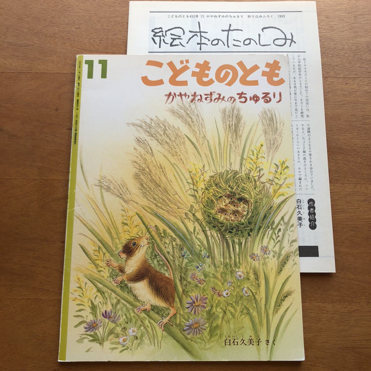 こどものとも　かやねずみのちゅるり 白石久美子　１９９３年　初版　絶版　折り込みふろく　最首悟　鳥　ネズミ　鼠　動物　自然