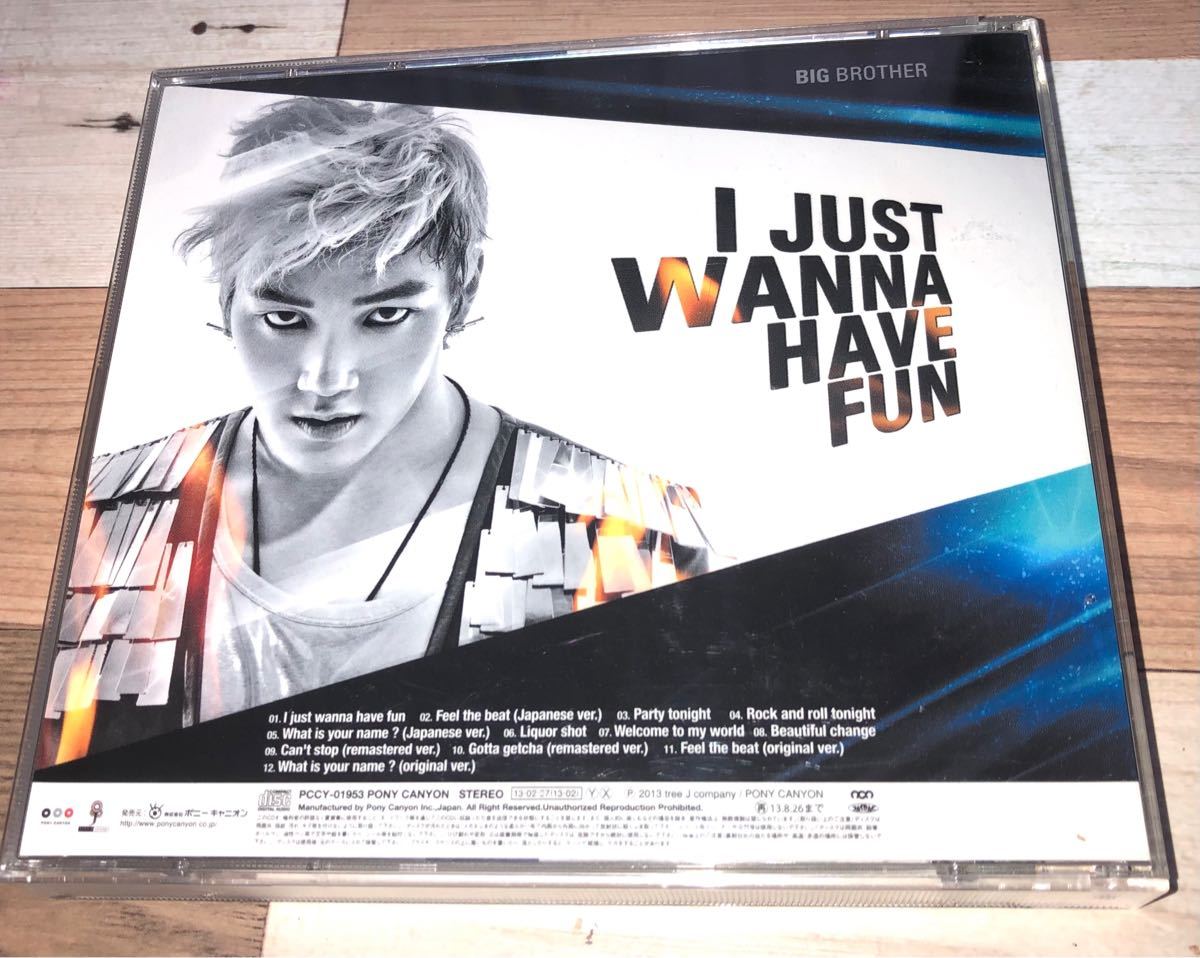 TEAM H   I JUST WANNA HAVE FUN