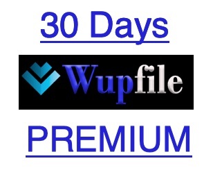 [ скорость соответствует!] официальный Wupfile premium 30 дней [5 минут ~24 часов в течение соответствует ]