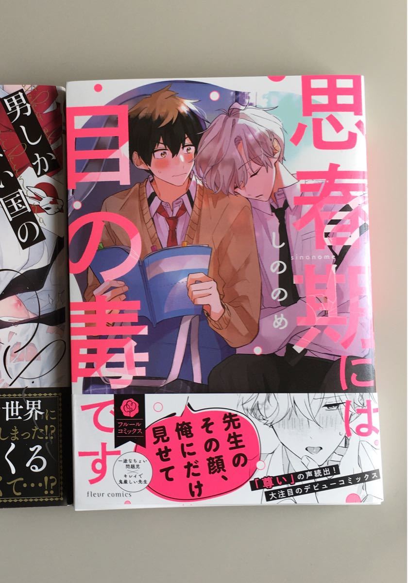 かえで様専用 思春期には目の毒です しののめ先生 うそつきと狼 やまち