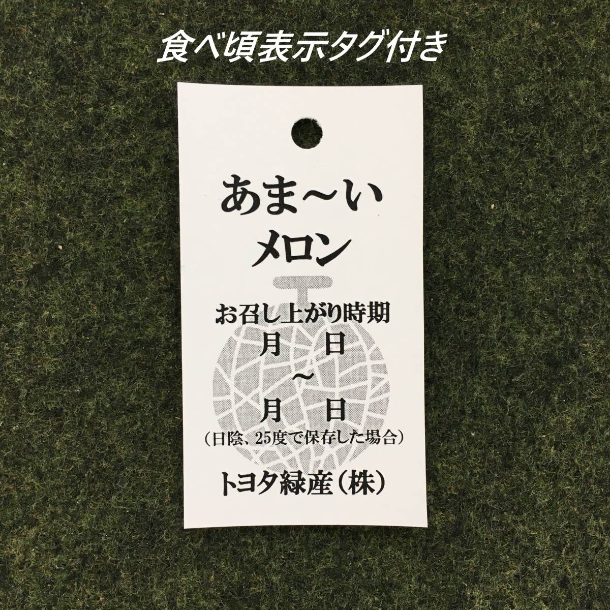 静岡メロン 6玉　☆農家直送☆7.0kg以上☆ご家庭用☆A_画像3