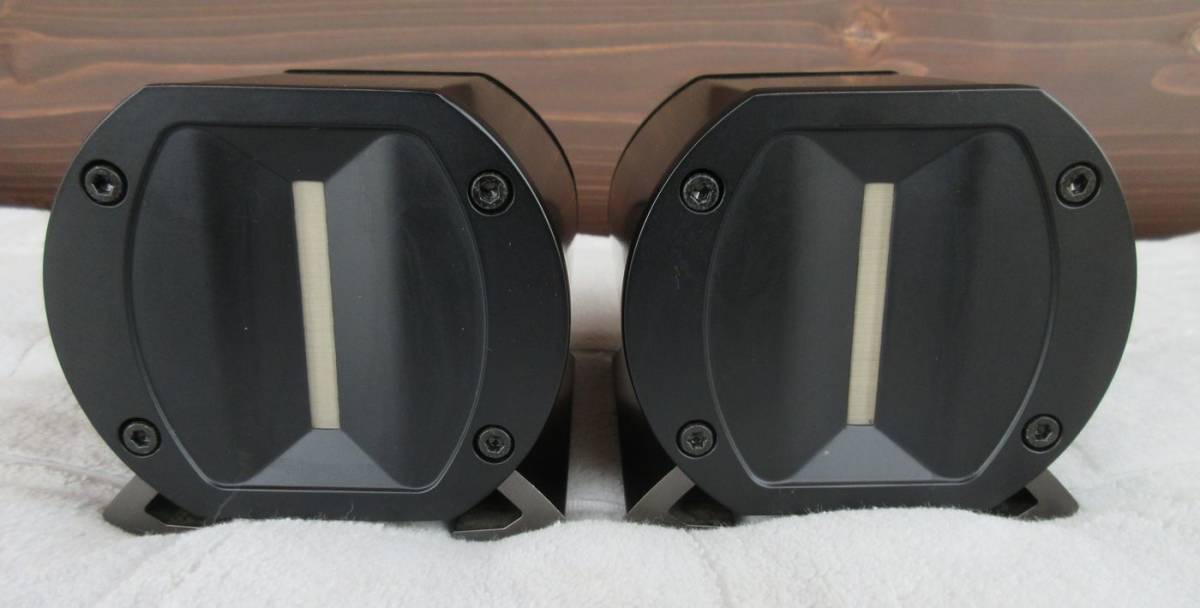 リボン型スーパーツイーター Pioneer PT-R4 バイオニア bpbd.kendalkab
