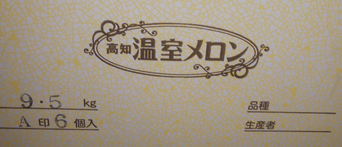 １円スタート！【高知県産】温室メロン　６玉　約9.3～9.6㎏　A　ご家庭用　☆ _画像4