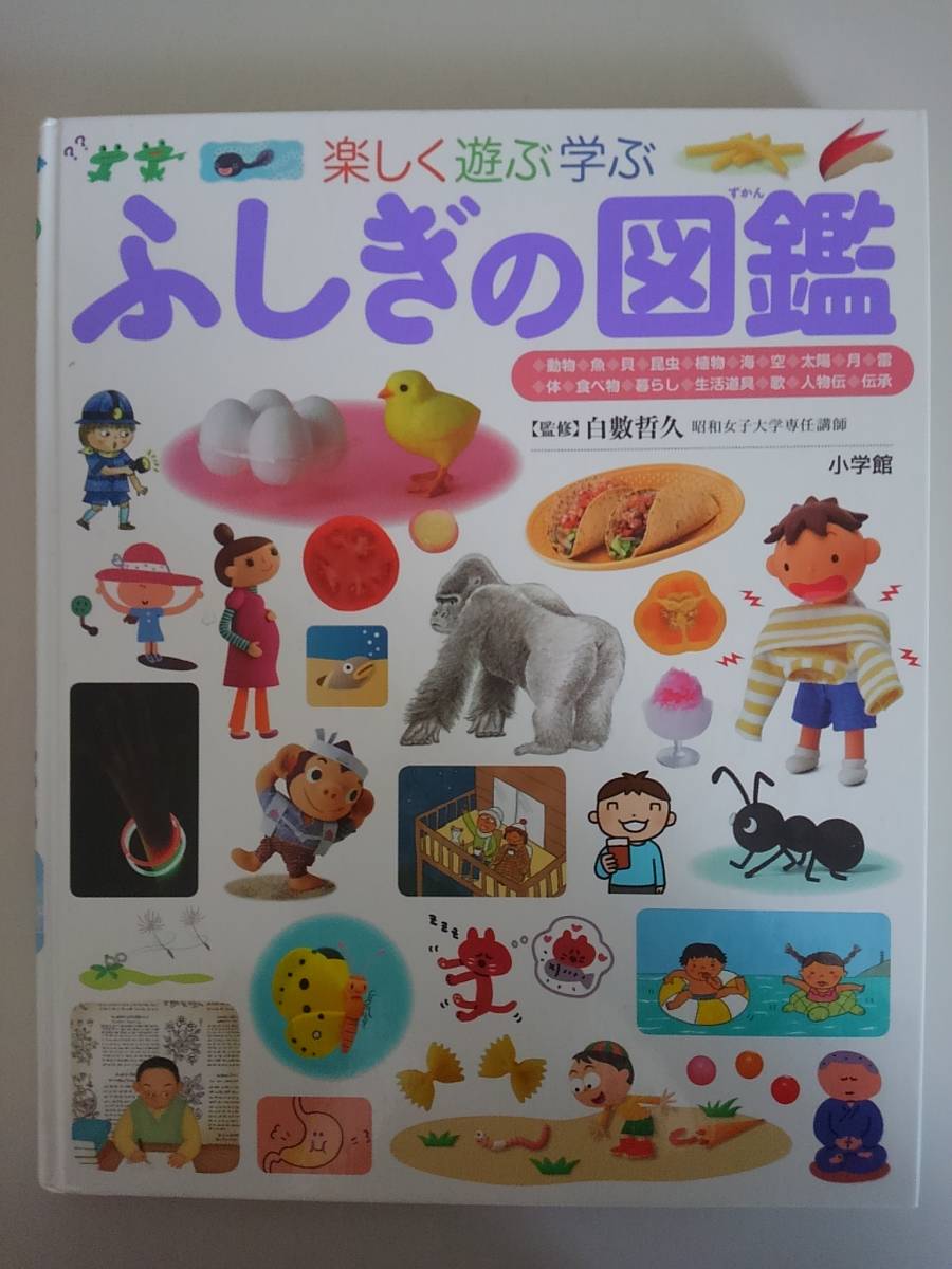  легко играть ..[.... иллюстрированная книга ] Shogakukan Inc.. ребенок иллюстрированная книга pre NEO Neo Shogakukan Inc. [ быстрое решение ]