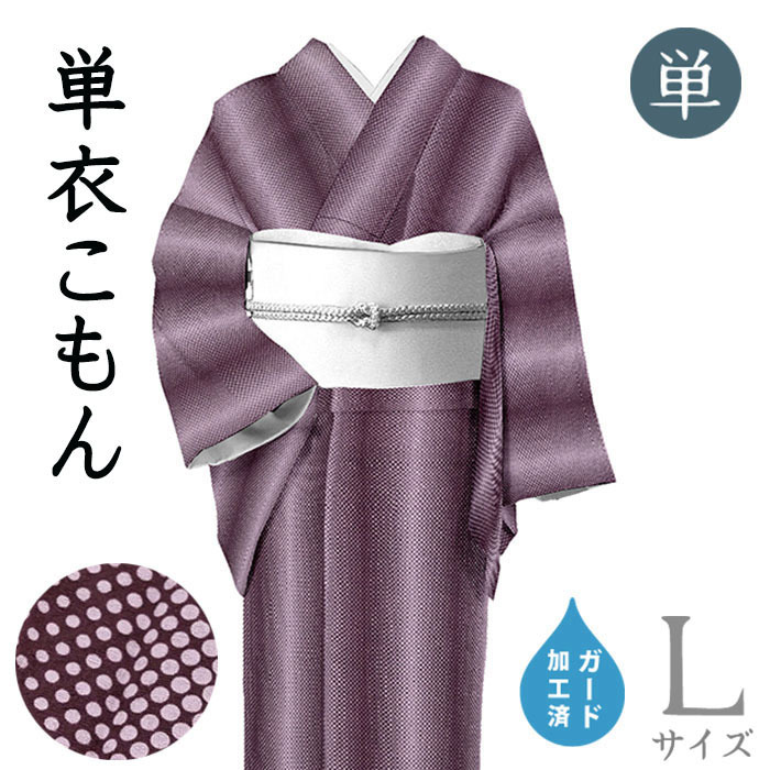 着物だいやす 669□小紋□単衣 京友禅 丹後ちりめん ドット縞 正絹