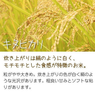 2021年産 新米 キヌヒカリ 玄米（白米可）30㎏　減農薬有機肥料栽培です。　ご希望があれば精米もしますよ。_画像3