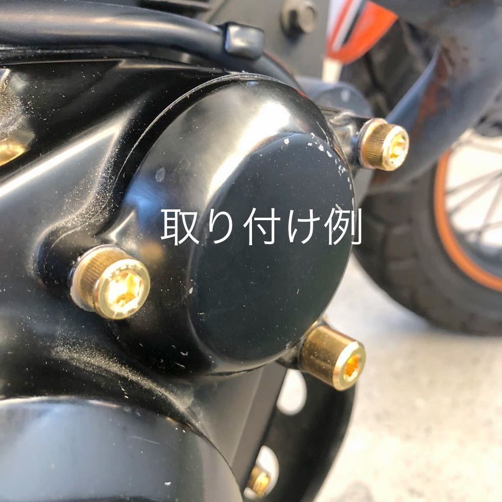 新品 本金メッキ！ オイルエレメントドレンボルト SR 400 125 250 TW200/225 XT250 セロー SRX600 レイド トリッカー ブロンコ 特殊ボルト_画像5