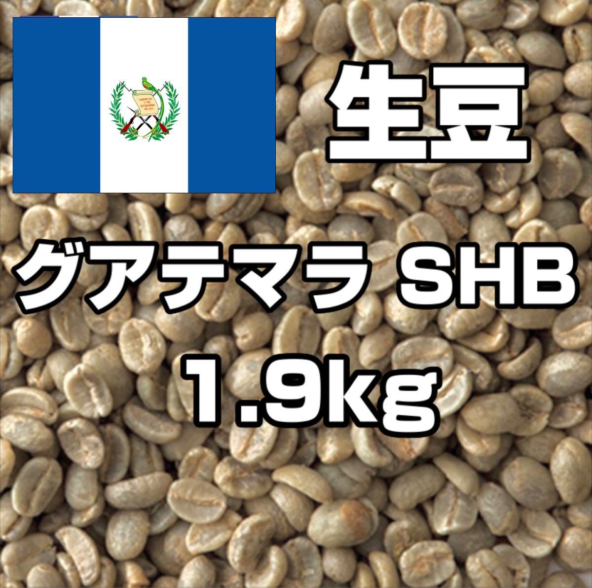 【コーヒー生豆】グアテマラ SHB  1.9kg　 ※送料無料
